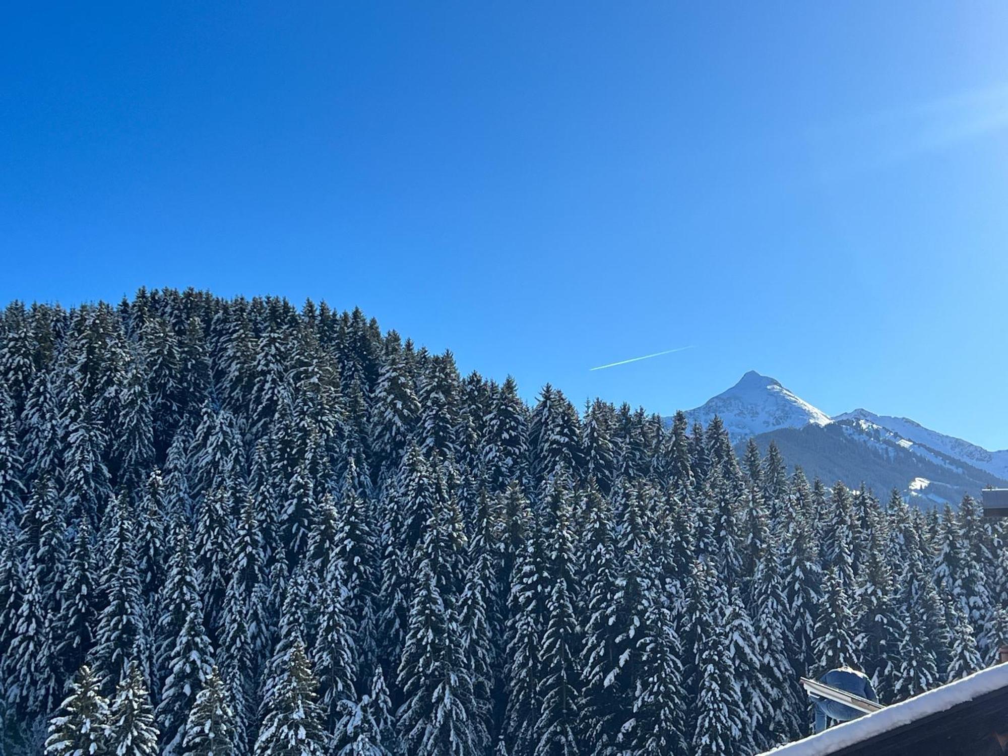 Ferienwohnungen Unterfeld Alpbach Exterior photo