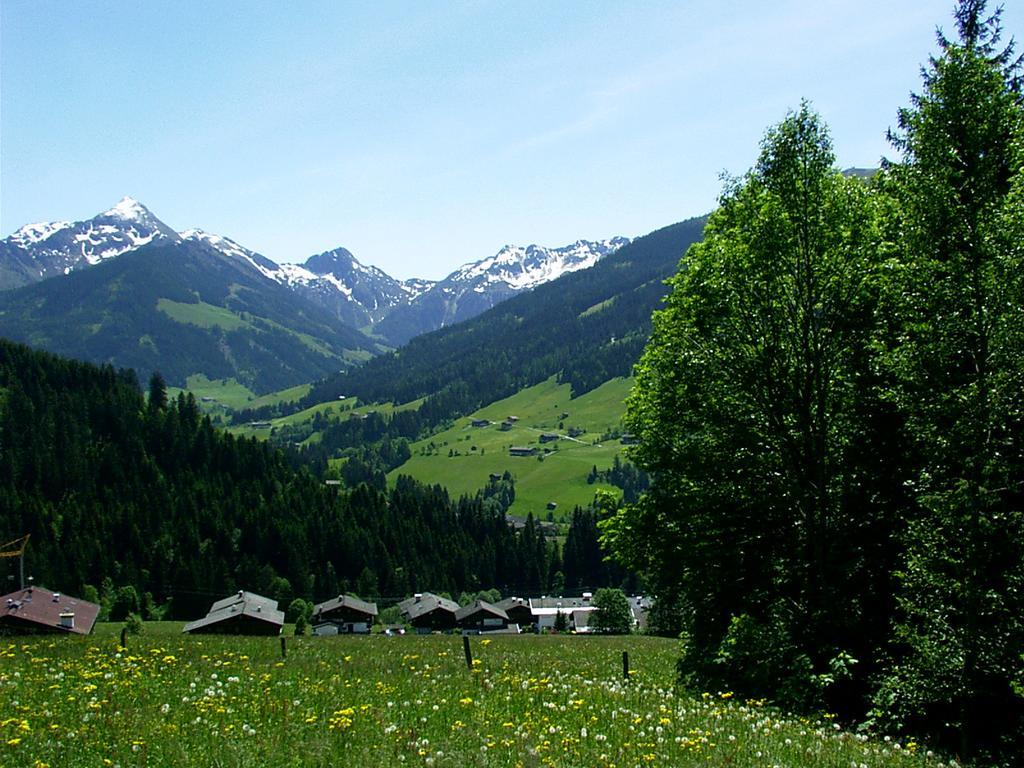 Ferienwohnungen Unterfeld Alpbach Exterior photo
